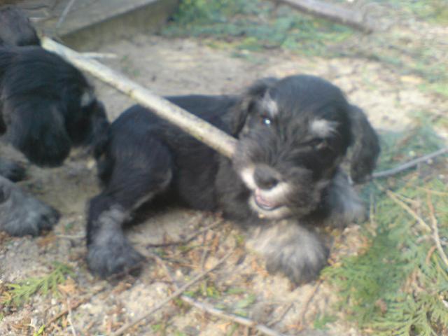 DSC00312.JPG