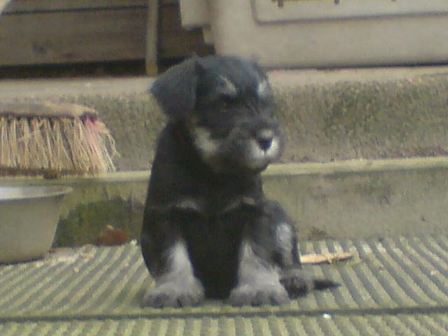 DSC00315.JPG