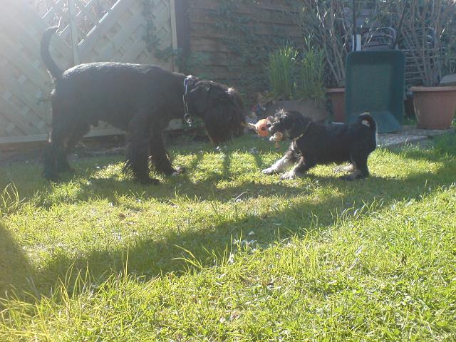 DSC00369.JPG