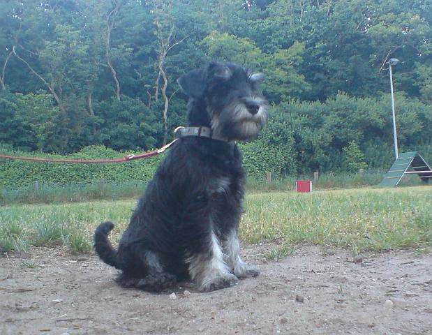 DSC00422.jpg