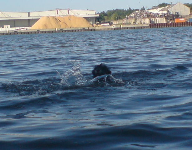 DSC00435.JPG