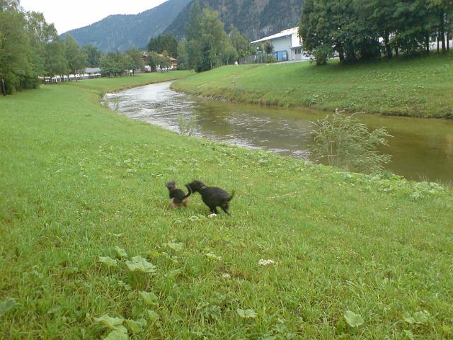 DSC00136.JPG