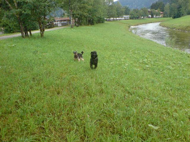 DSC00137.JPG