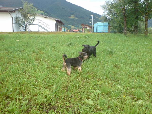 DSC00140.JPG