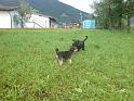DSC00140