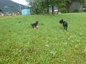 DSC00141