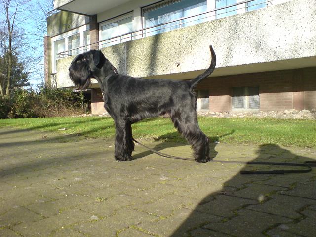 DSC00053.JPG