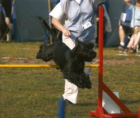 Scannen0006xportal.jpg