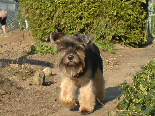 DSC00063.JPG