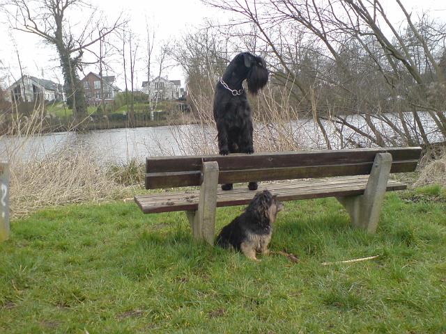 DSC00039.JPG