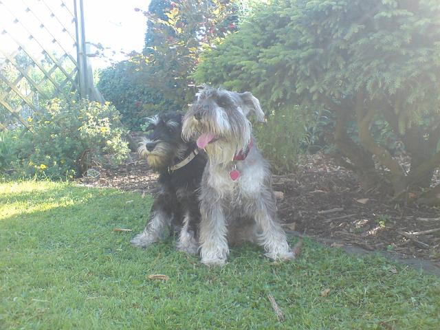 DSC00505.JPG