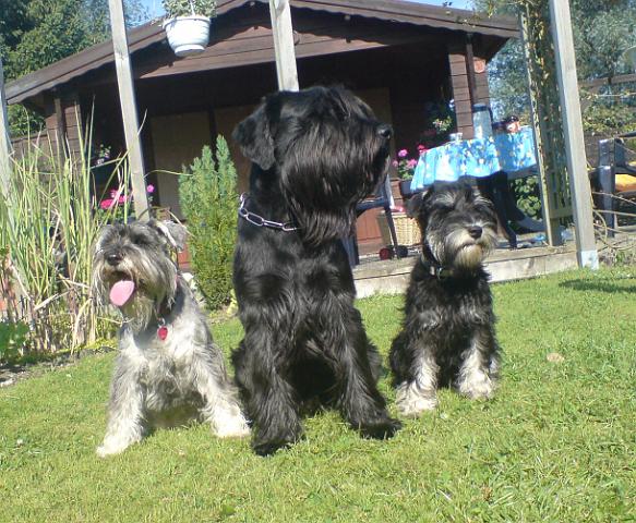 DSC00508.JPG