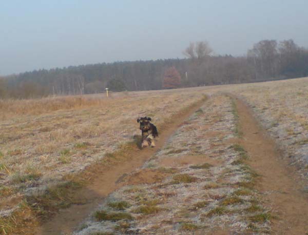 DSC00644.JPG
