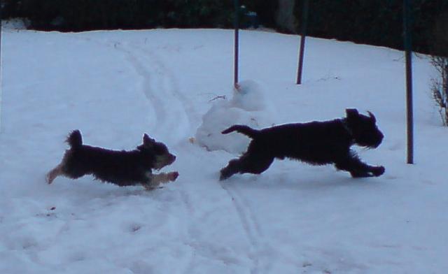winter07-2.JPG