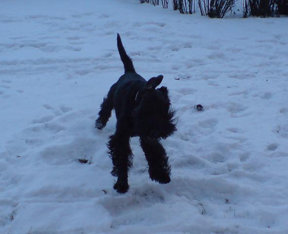 winter07-5.JPG