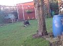 DSC00637